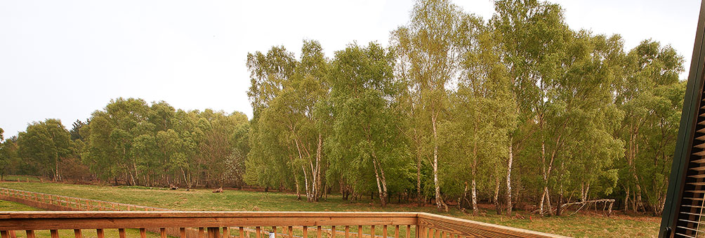 sherwoodparkmapmain Sherwood Hideaway