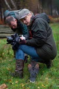 Sherwood-hideaway-Falconry-Experience-Photography-02